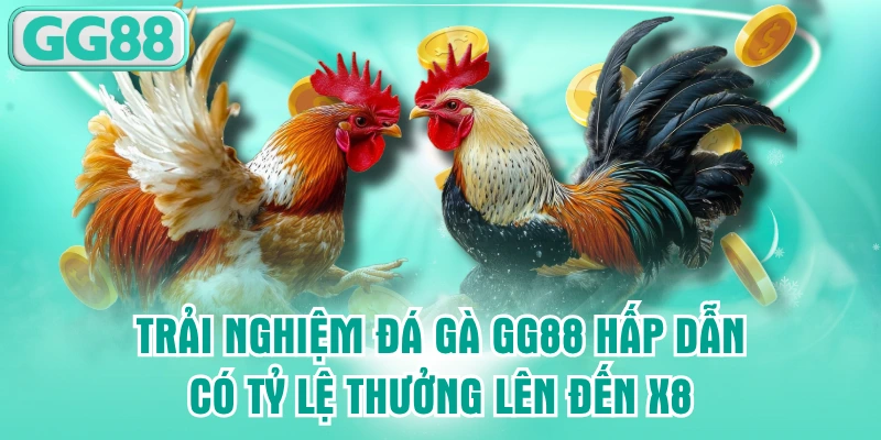 đá gà gg88